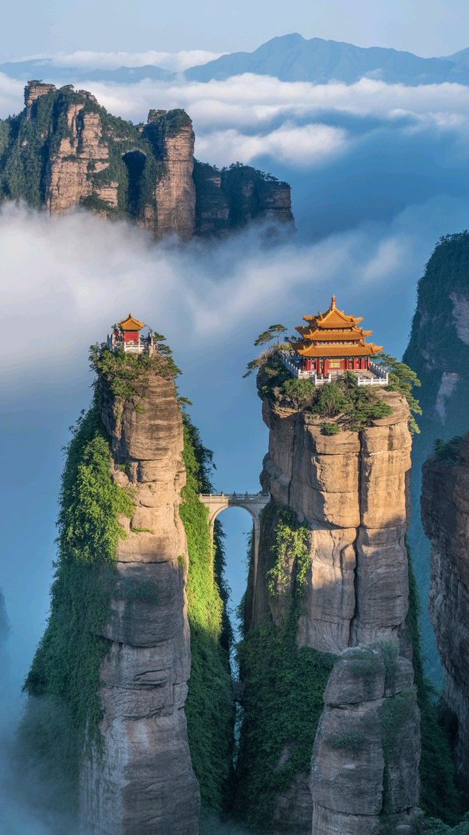 Sabine 🌟💛💫 tweet media