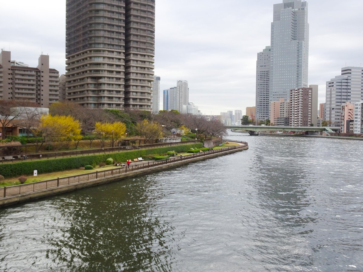 集まれ！隅田川 tweet media