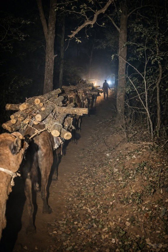 खुरपेंची ढांचे tweet media