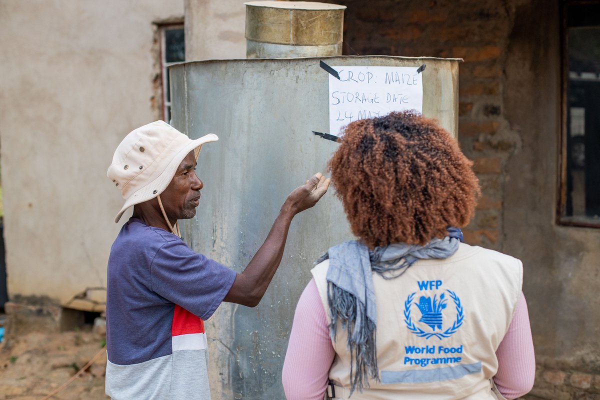 The world 🌍produces enough food for everyone, yet millions still go to bed hungry.

In #Zimbabwe🇿🇼 , <a href="/WFP/">World Food Programme</a> is working with smallholder farmers to improve harvesting and handling practices, reducing post harvest losses and protecting precious food that families rely on.