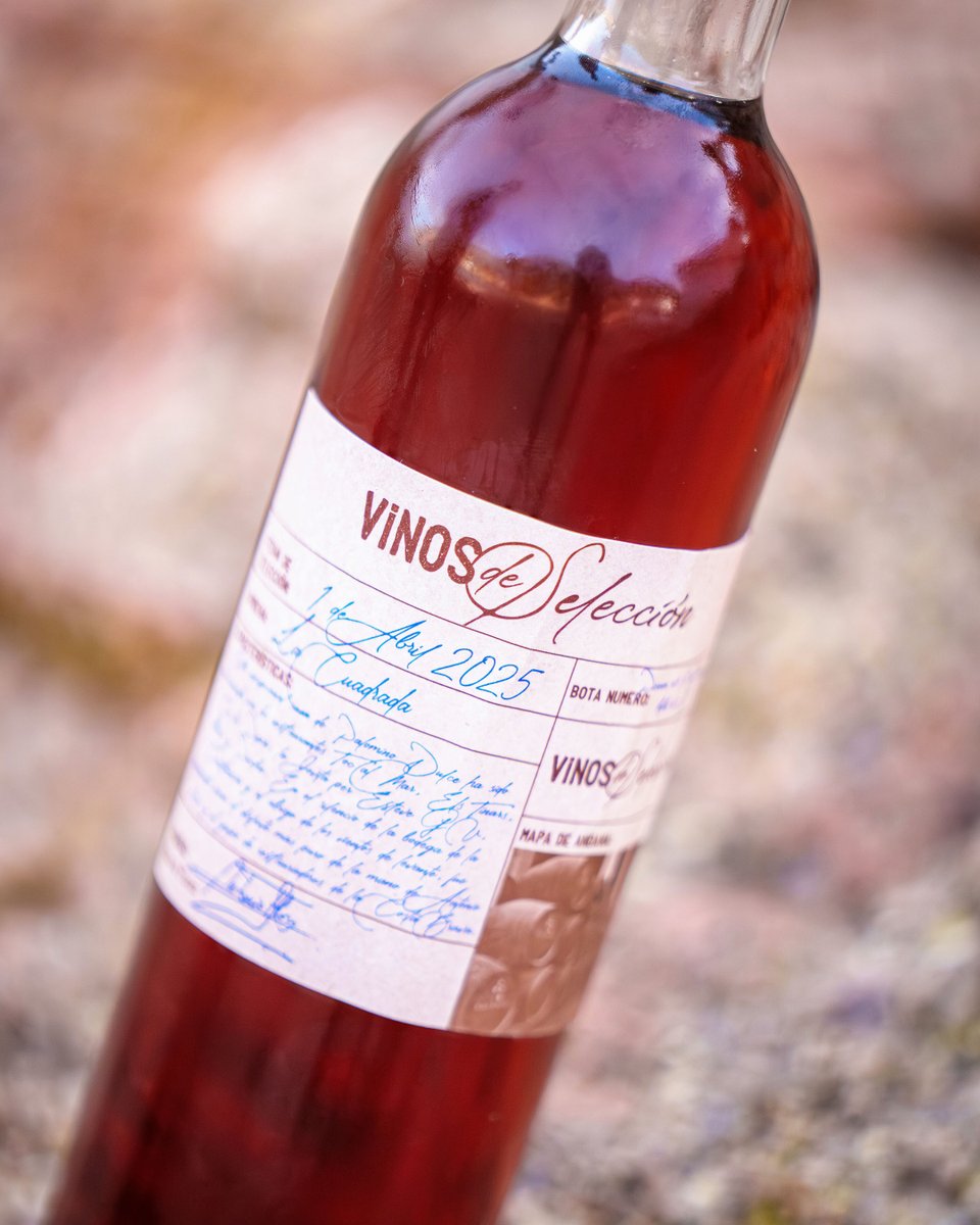 TOC AL MAR tweet media