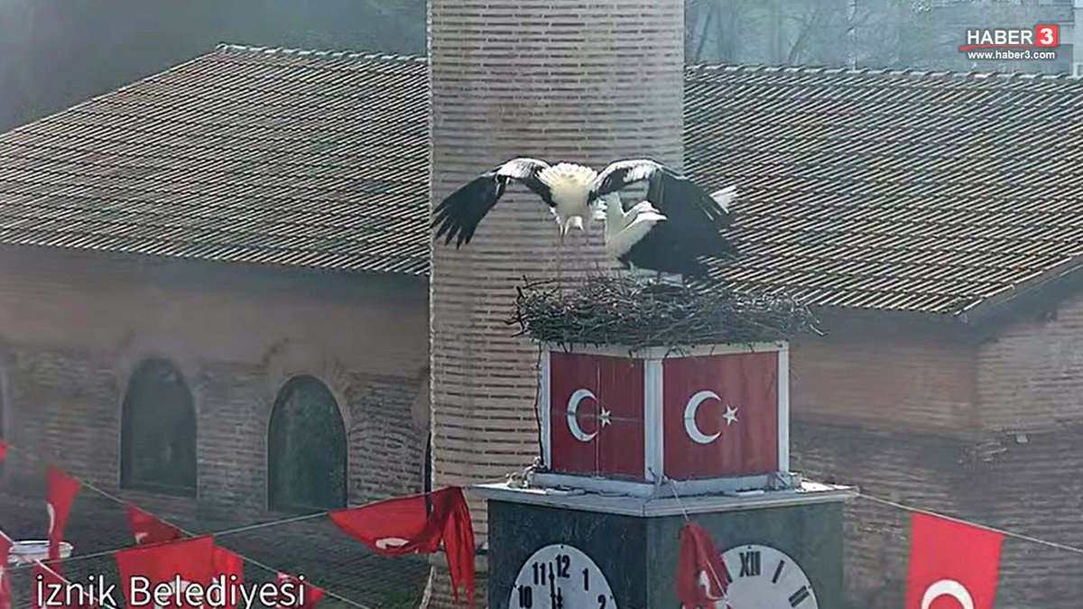 haber3com's tweet image. Bursa'nın İznik ilçesinde, Yaren leylek ve Balıkçı Adem'in hikayesine kardeş bir olay yaşanıyor... Bursa İznik'in simgesi haline gelen 'Can' ve 'Canan' leylek çifti, bir yıl aradan sonra yeniden saat… haber3.com/foto-galeri/ha… #Bursa #İznik #Leylek #CanVeCanan #YarenLeylek
