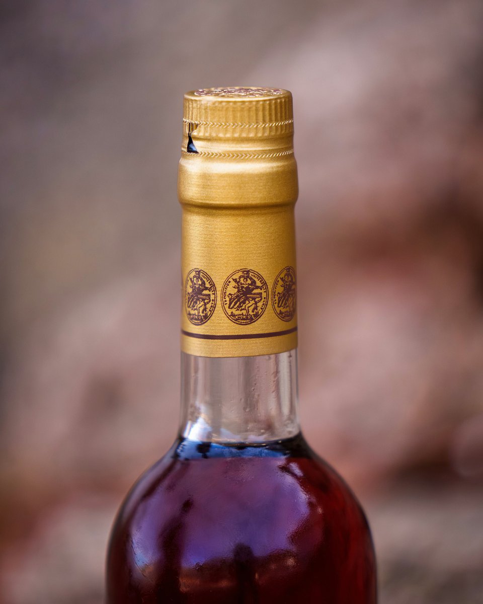 TOC AL MAR tweet media