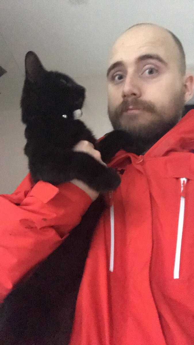 Syphotic tweet media