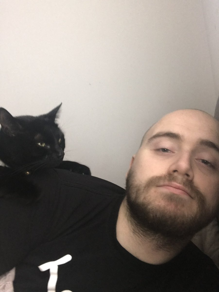 Syphotic tweet media