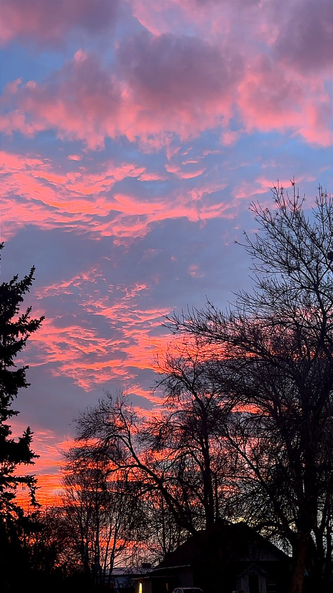 ✿ ƒαωηα ƒαує ✿ tweet media