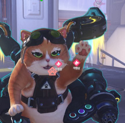 곰곰이 tweet media