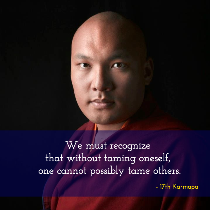 Just Dharma Quotes tweet media