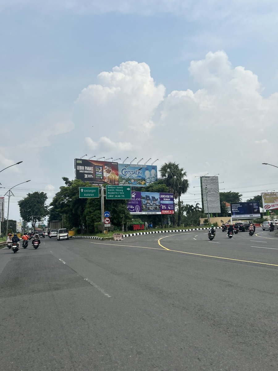 🐻🐻 tweet media