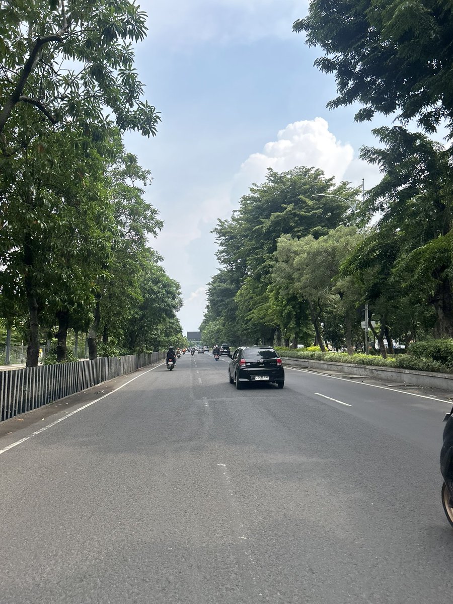 🐻🐻 tweet media