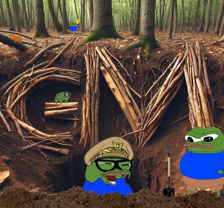 VΛULƬX 🛡️ tweet media