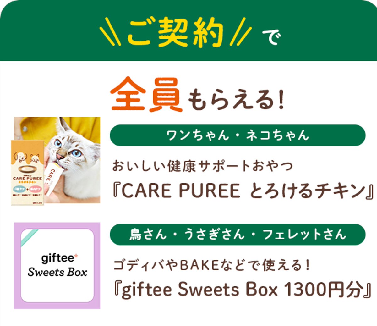 【公式】アニコム | ペット保険（だけじゃない） tweet media