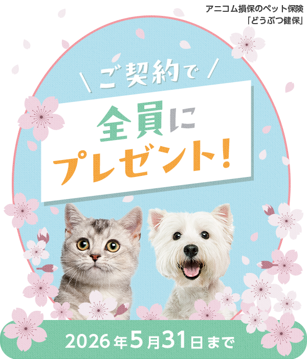 【公式】アニコム | ペット保険（だけじゃない） tweet media