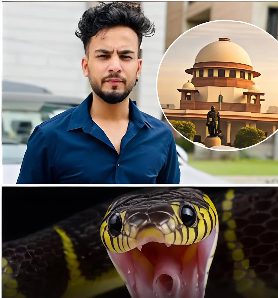 🚨 ब्रेकिंग न्यूज़ | एल्विश यादव को सुप्रीम कोर्ट से बड़ी राहत। सांपों जहर बेचने के केस में राहत। 

नई दिल्ली: यूट्यूबर एल्विश यादव से जुड़े चर्चित मामले में सुप्रीम कोर्ट ने बड़ा फैसला सुनाते हुए उनके खिलाफ चल रही आपराधिक कार्यवाही को रद्द कर दिया है। 

कोर्ट ने साफ कहा कि इस