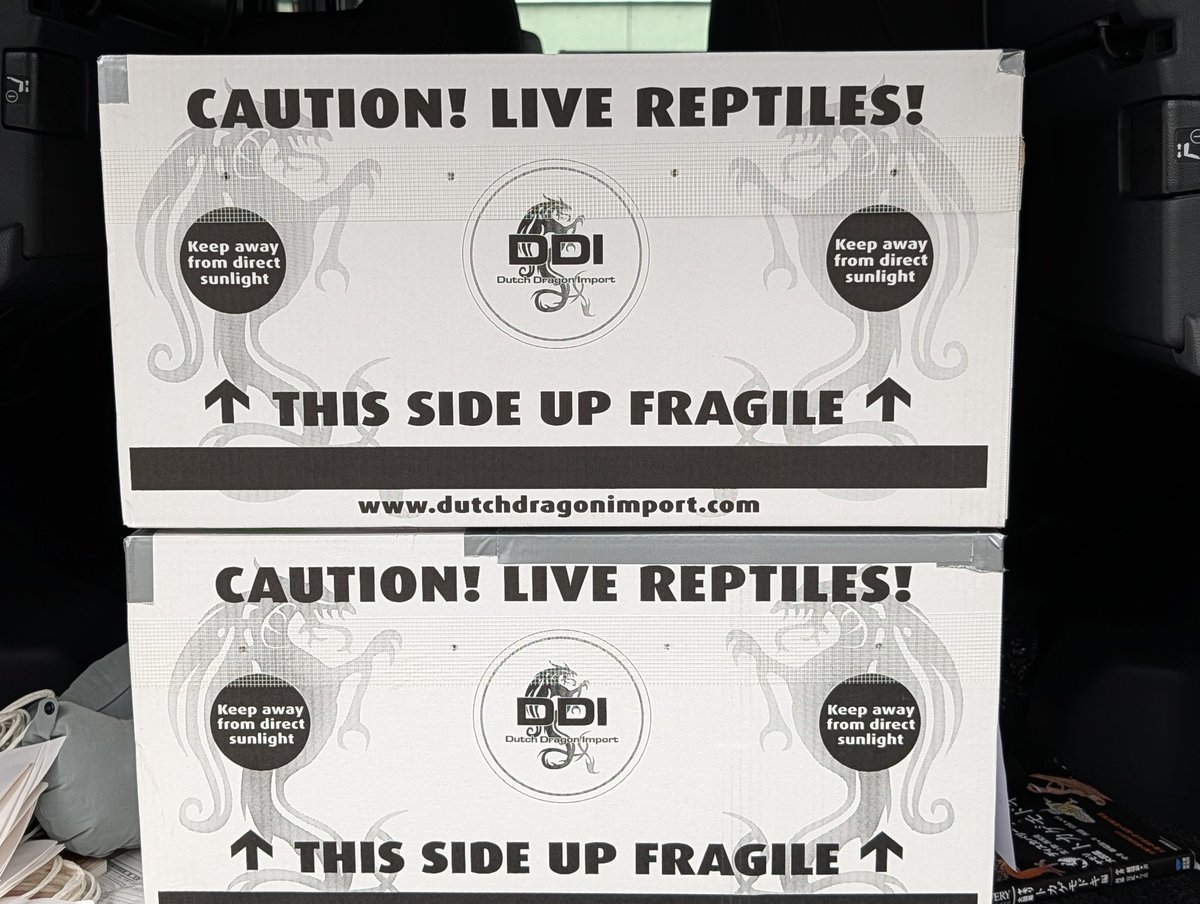 Satisfactory tweet media