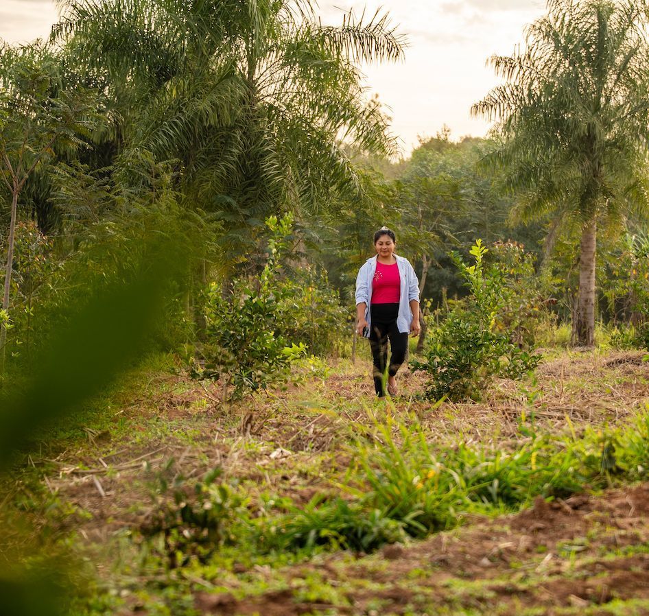 FAO Climate Change & Biodiversity tweet media