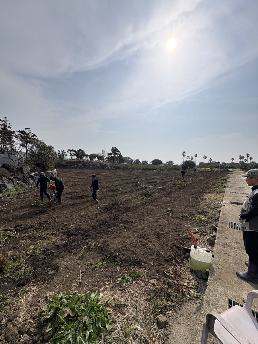 코루🍊 tweet media