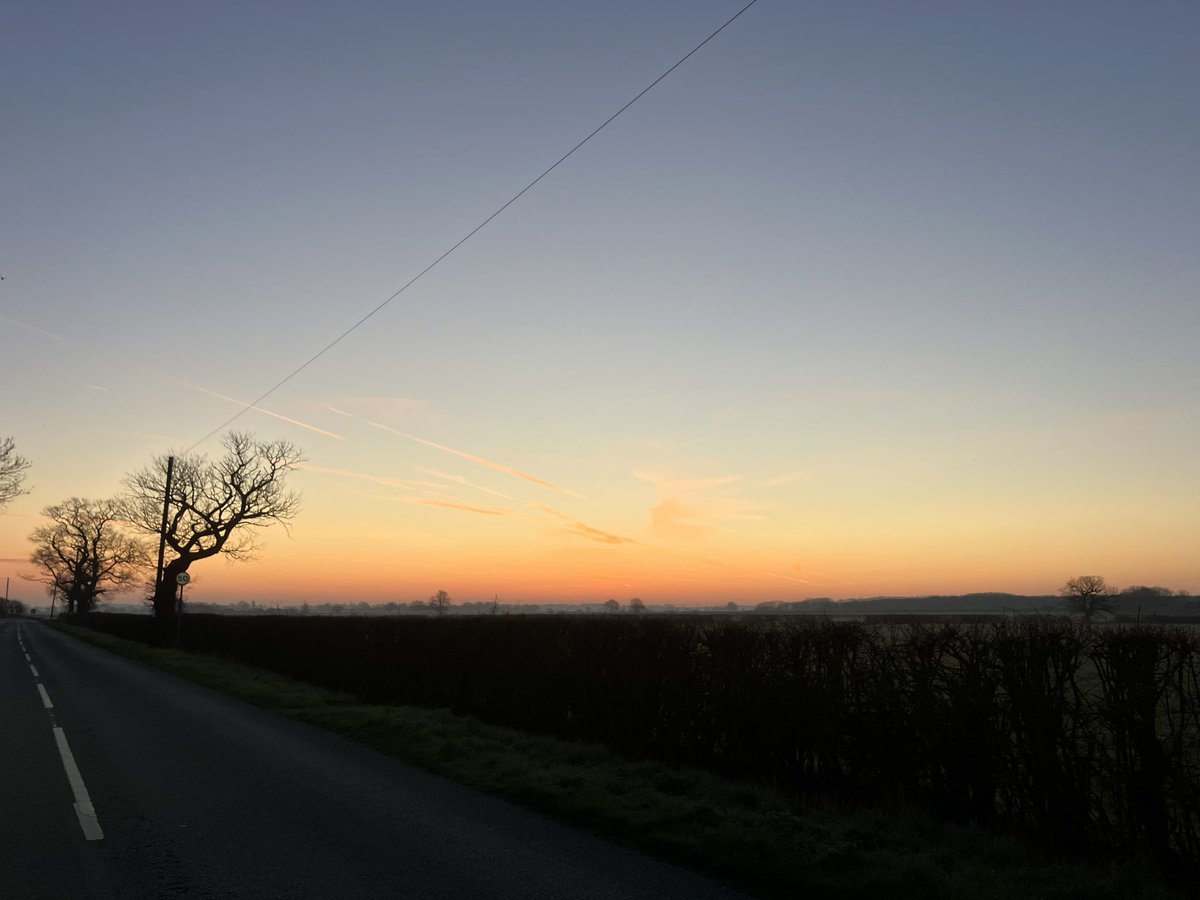 markdennison 💙 tweet media