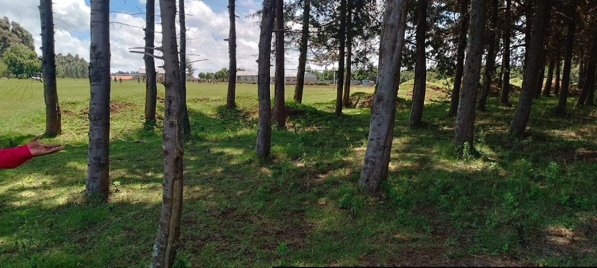 Friends of Mau Watershed (FOMAWA) tweet media