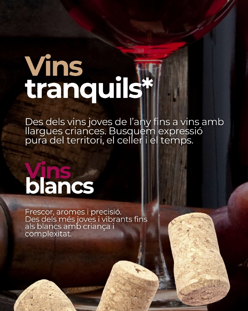 Premis Vinari tweet media