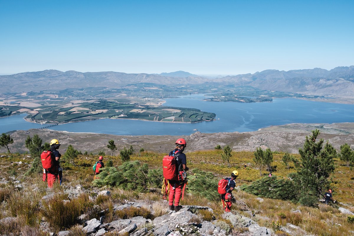 Democratic Alliance tweet media