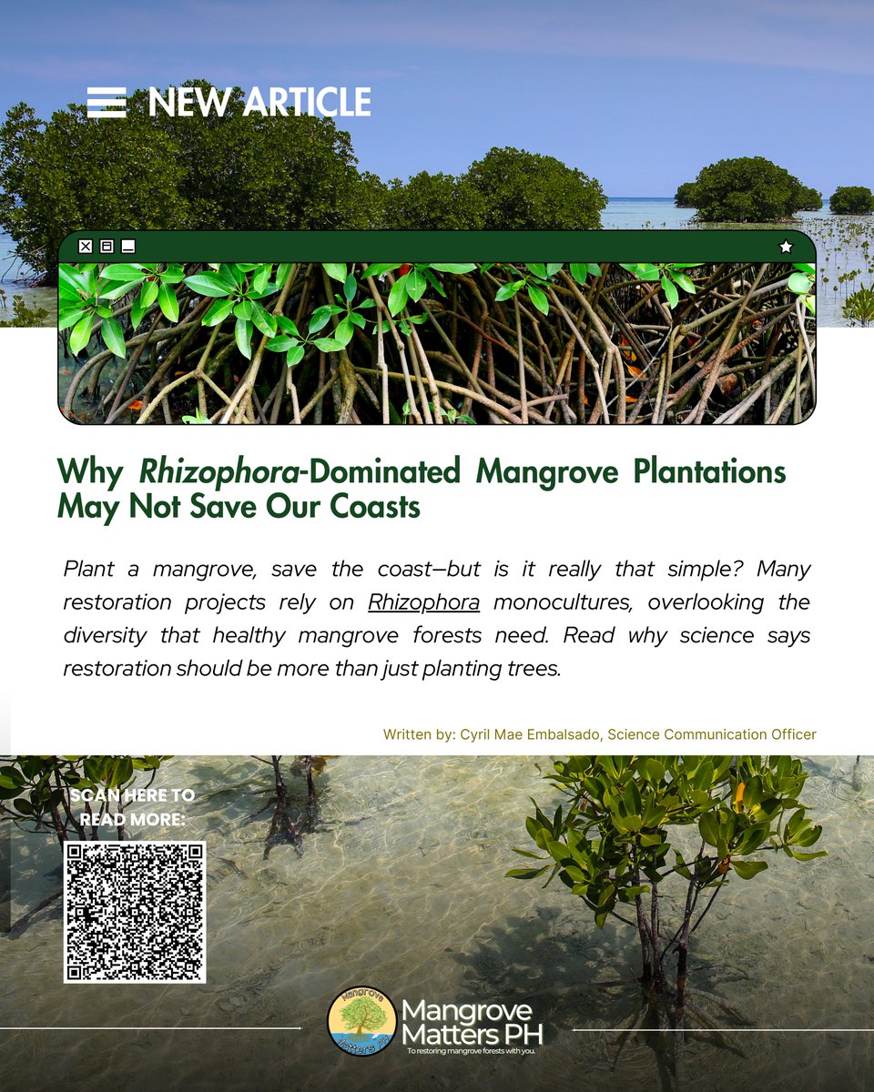 Mangrove Matters PH tweet media