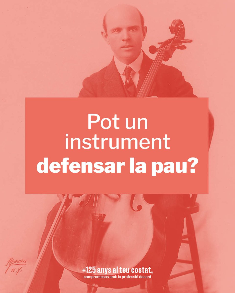 Col·legi de docents tweet media