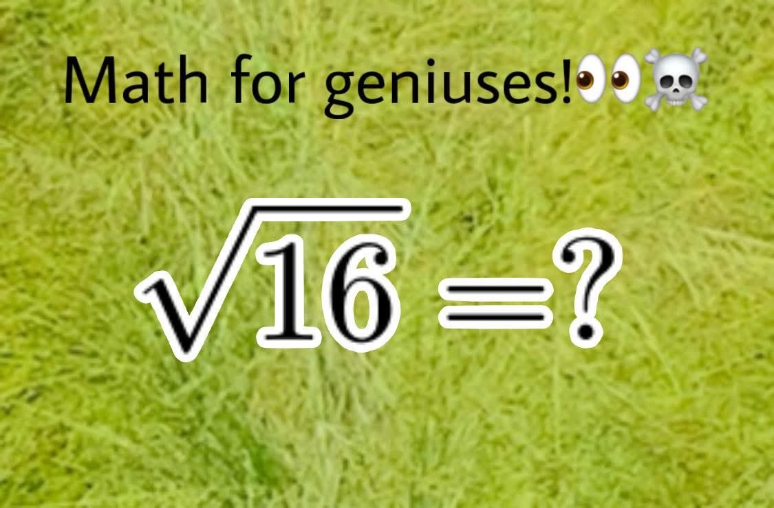 ThinkTank tweet media