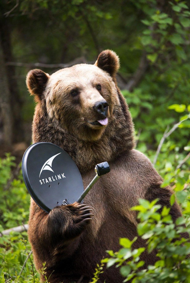 Lam Quyen tweet media