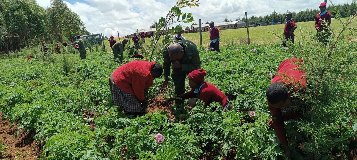 Friends of Mau Watershed (FOMAWA) tweet media