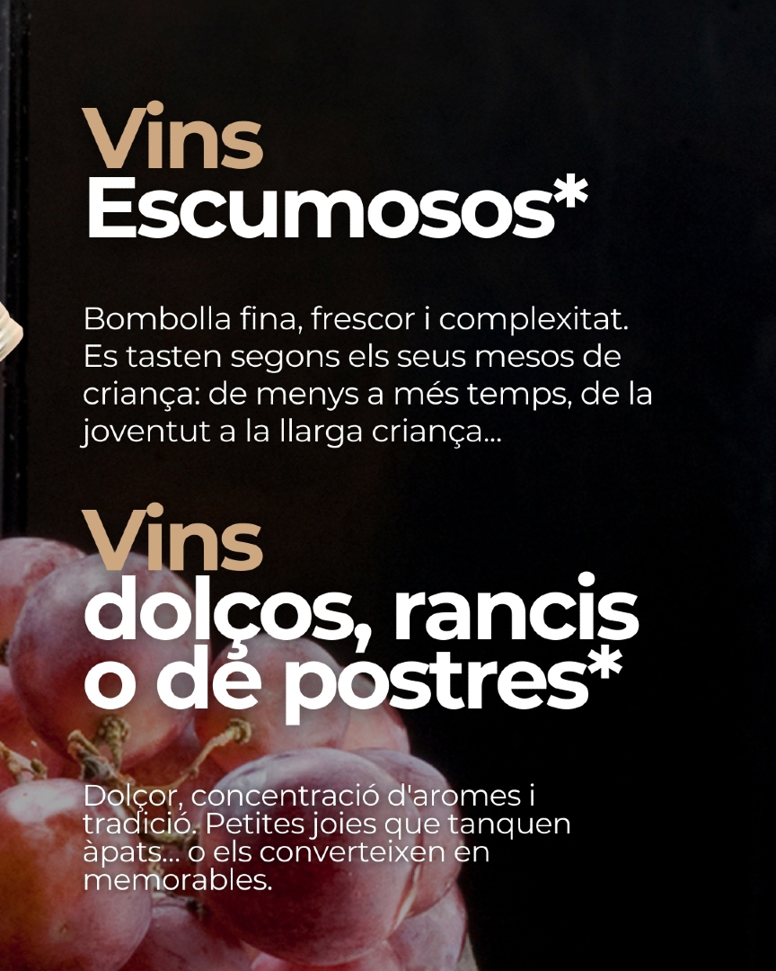 Premis Vinari tweet media