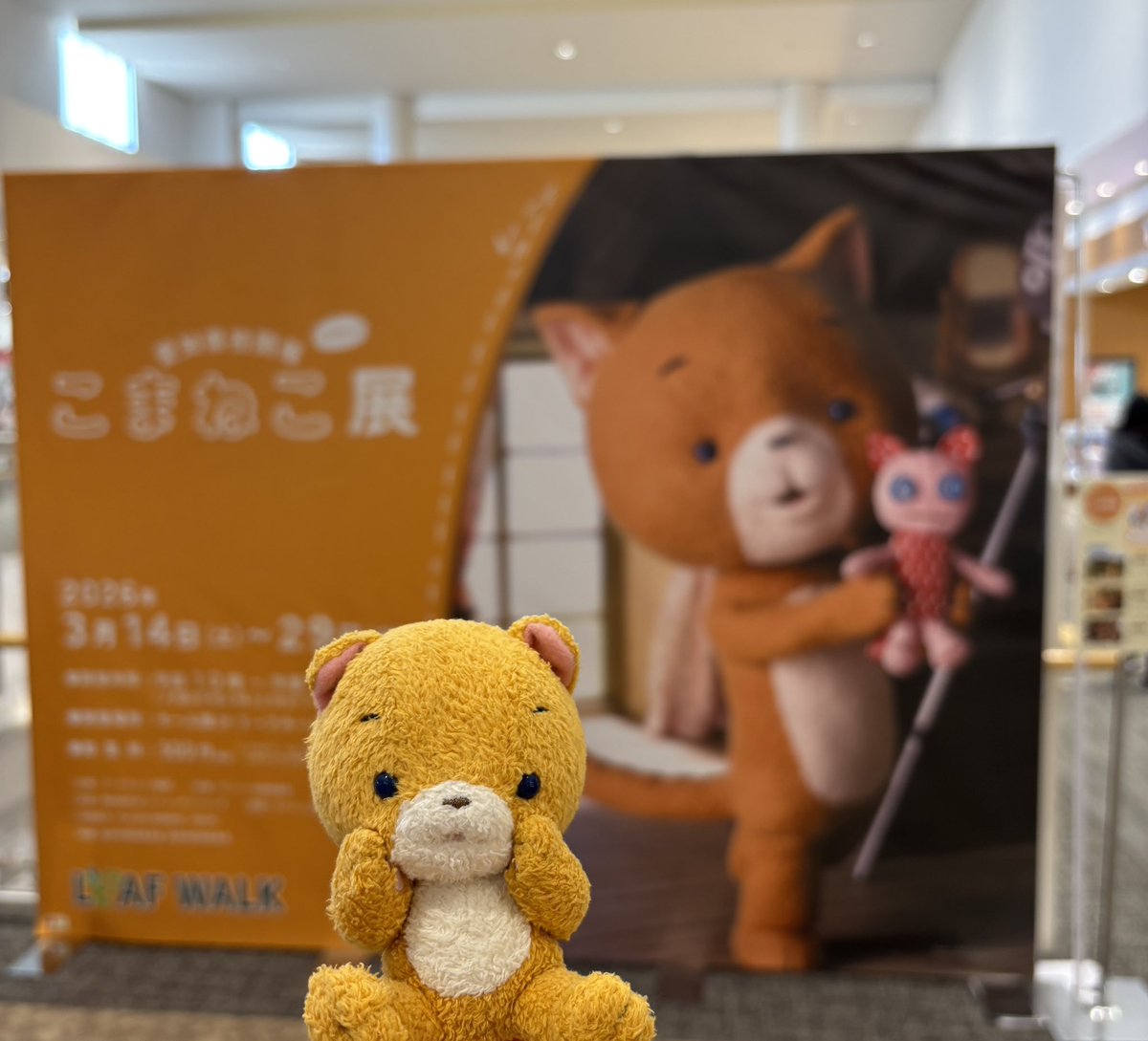 komanekofficial's tweet photo. ／.+*
こまねこ展＠リーフウォーク稲沢
2026年3月14日 (土)-3月29日 (日)
開催中🐱
＼*+.

リーフウォーク稲沢の2階に会場があります！フードコートの目の前🎶

目印は大きなこまちゃんポスターと、グッズ売り場、そして入り口前に立つこまちゃんです🐱

みなさまお買い物がてらどうぞお立ち寄りくださいね✨

#こまねこ展 #こまねこ