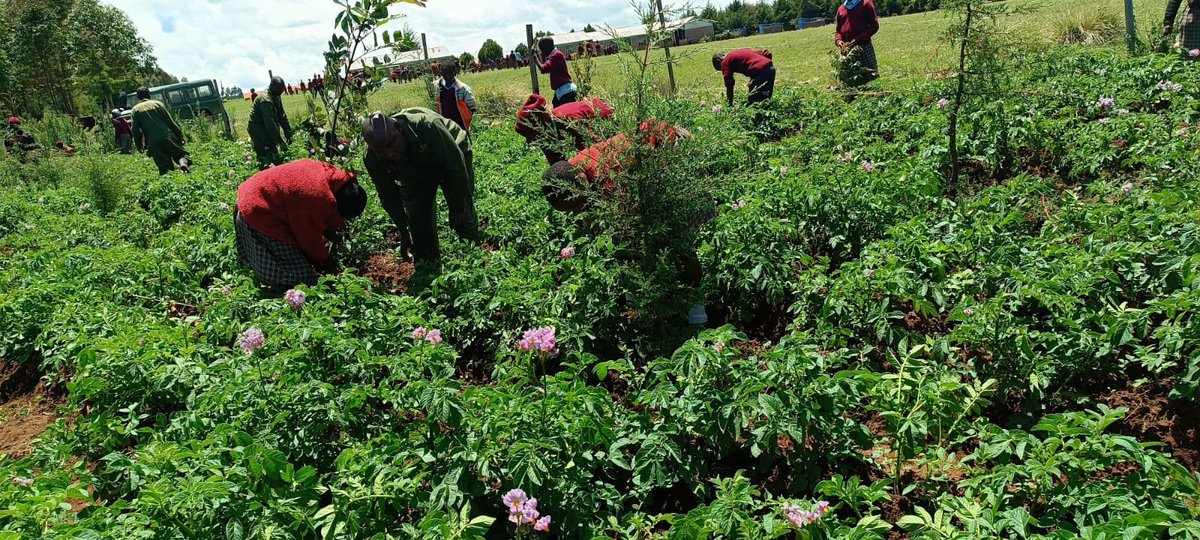 Friends of Mau Watershed (FOMAWA) tweet media