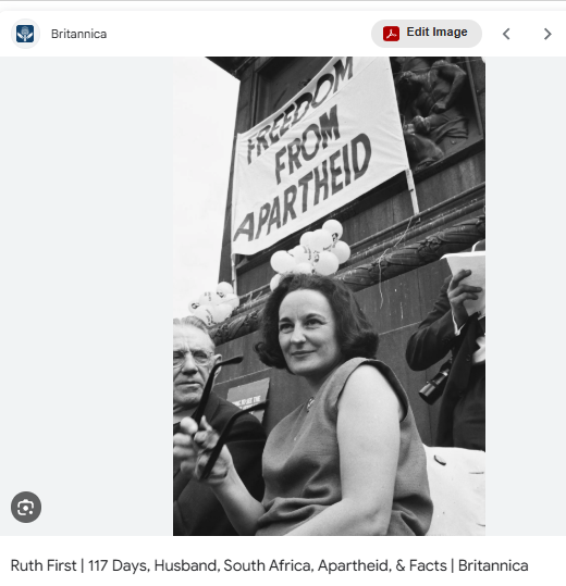 NewsGirl tweet media