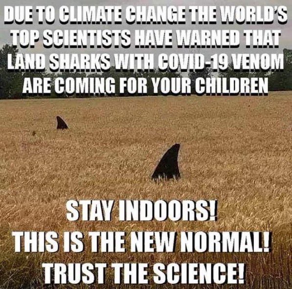 Marie Isabella tweet media