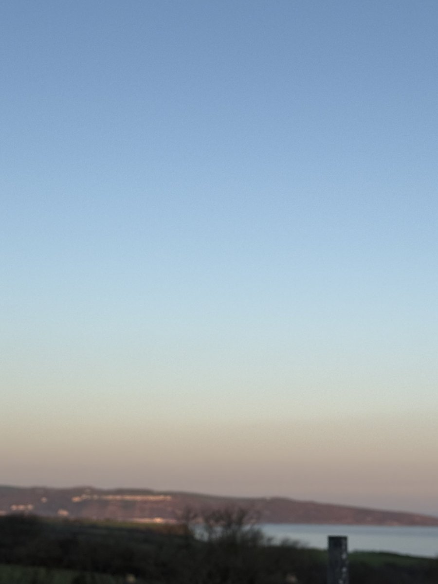 Jo Thomas tweet media