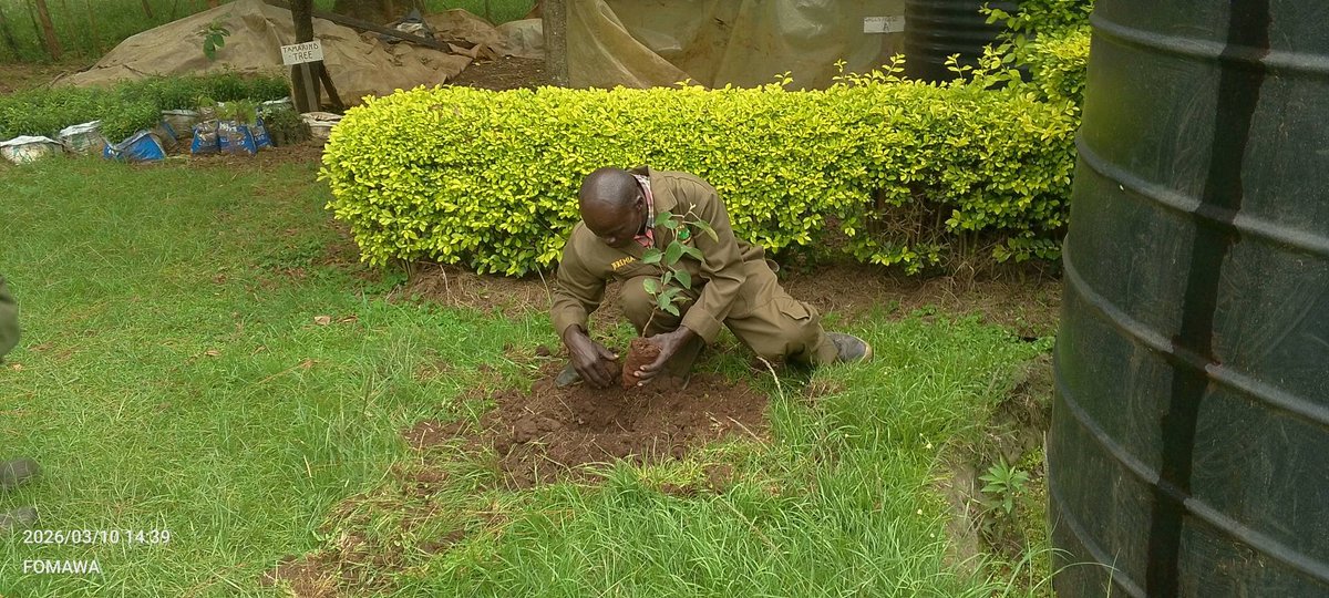 Friends of Mau Watershed (FOMAWA) tweet media