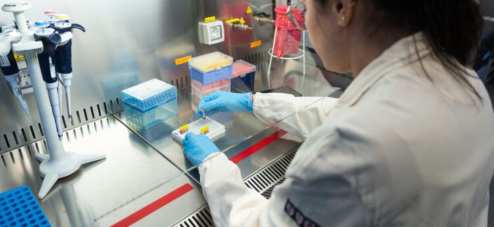 startup_italia's tweet photo. Nel Centro valdostano di #genomica e #AI C3G si studia il futuro della medicina di precisione. Stefano Gustincich, direttore del Center for Clinical and Computational Genomics ad Aosta, ci porta a spasso per i 450 mq di laboratori. 

https://t.co/7ysboeUPAM https://t.co/ZH5Y9b6zvG