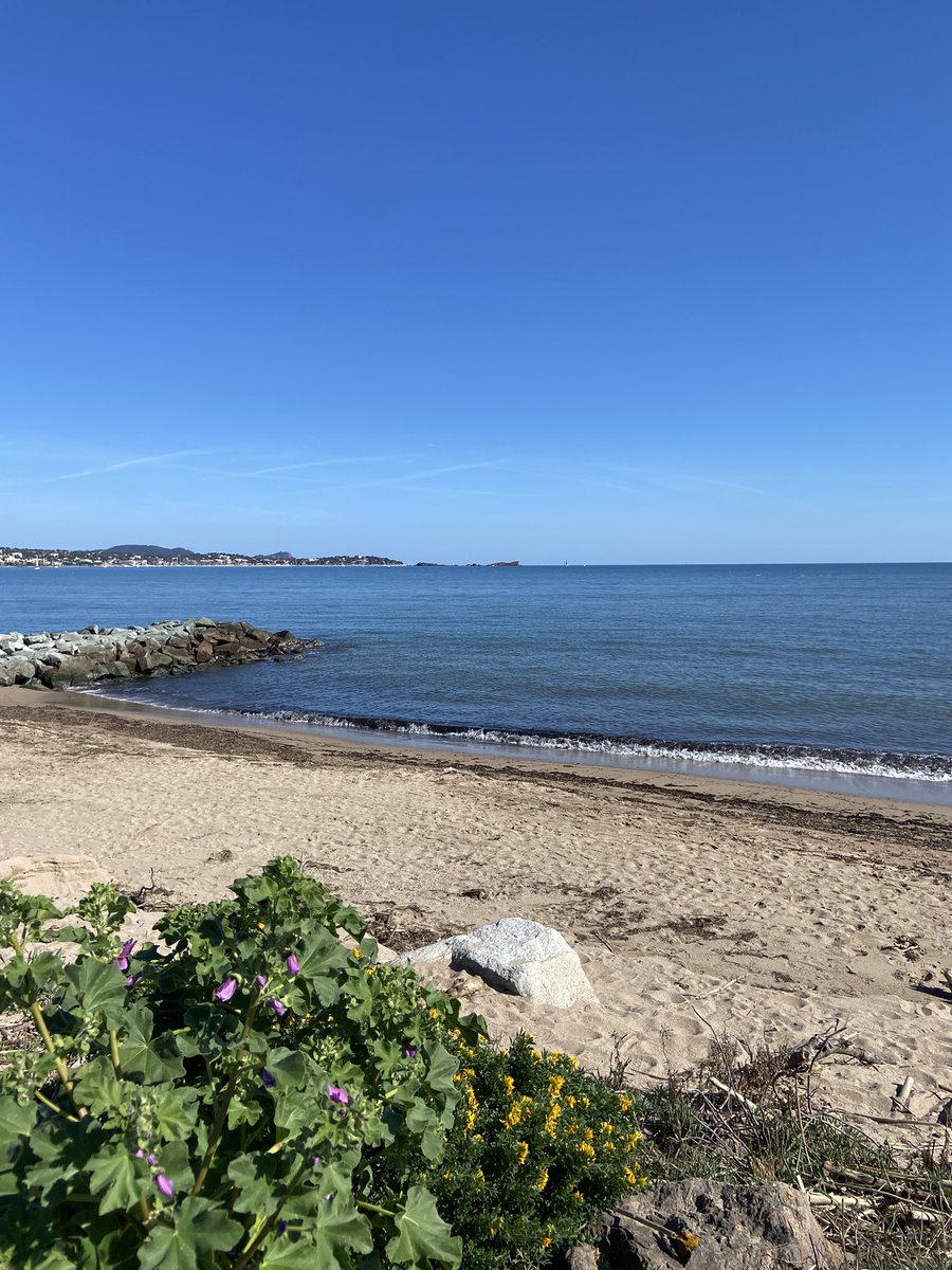 🦋Nathalie🦋 tweet media