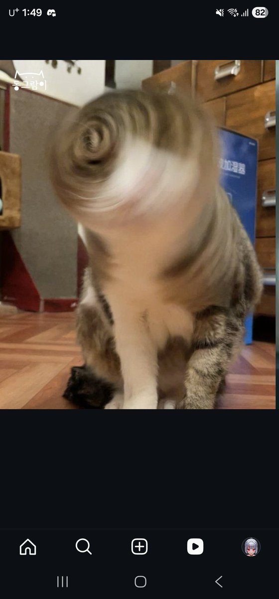 차렛🦈 tweet media