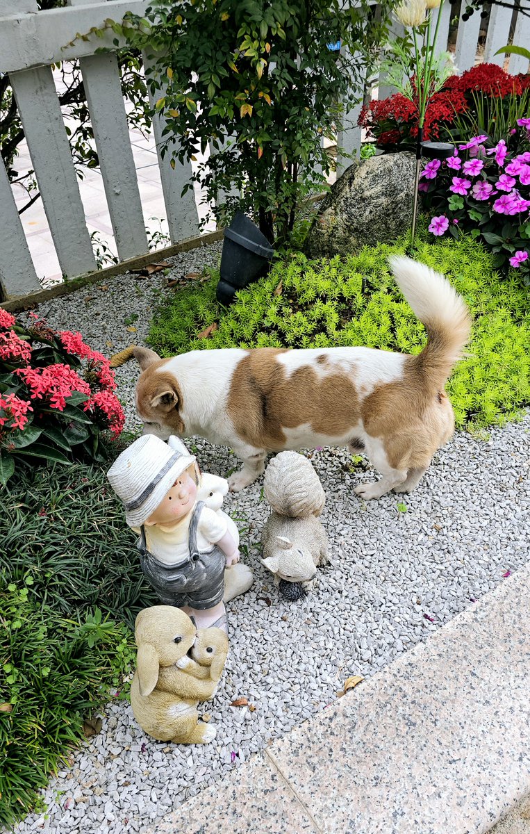 Nick Campbell tweet media