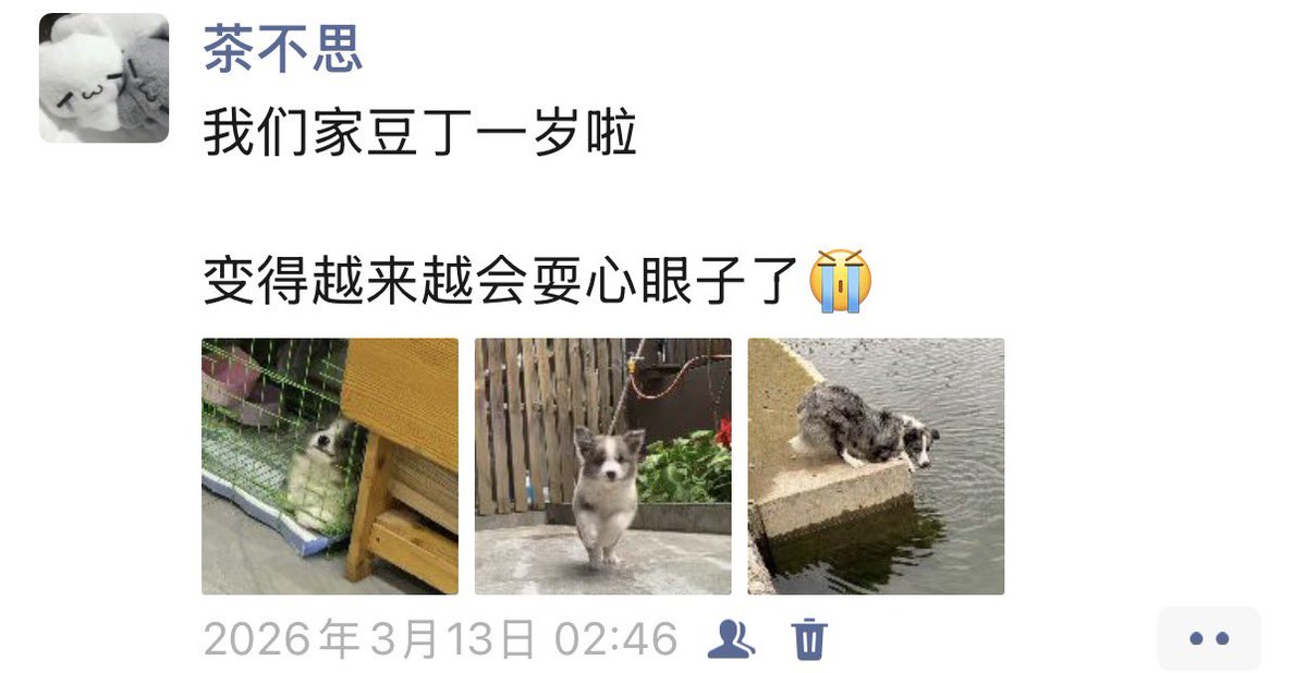 茶不思 tweet media