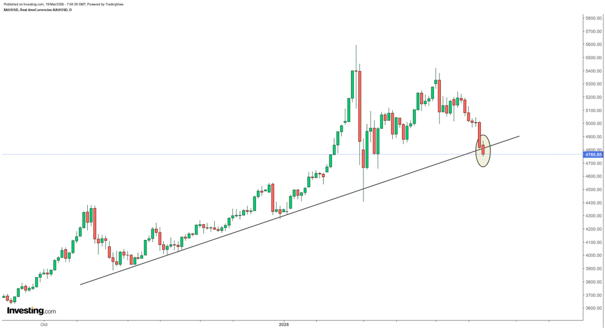Rashad Hajiyev tweet media
