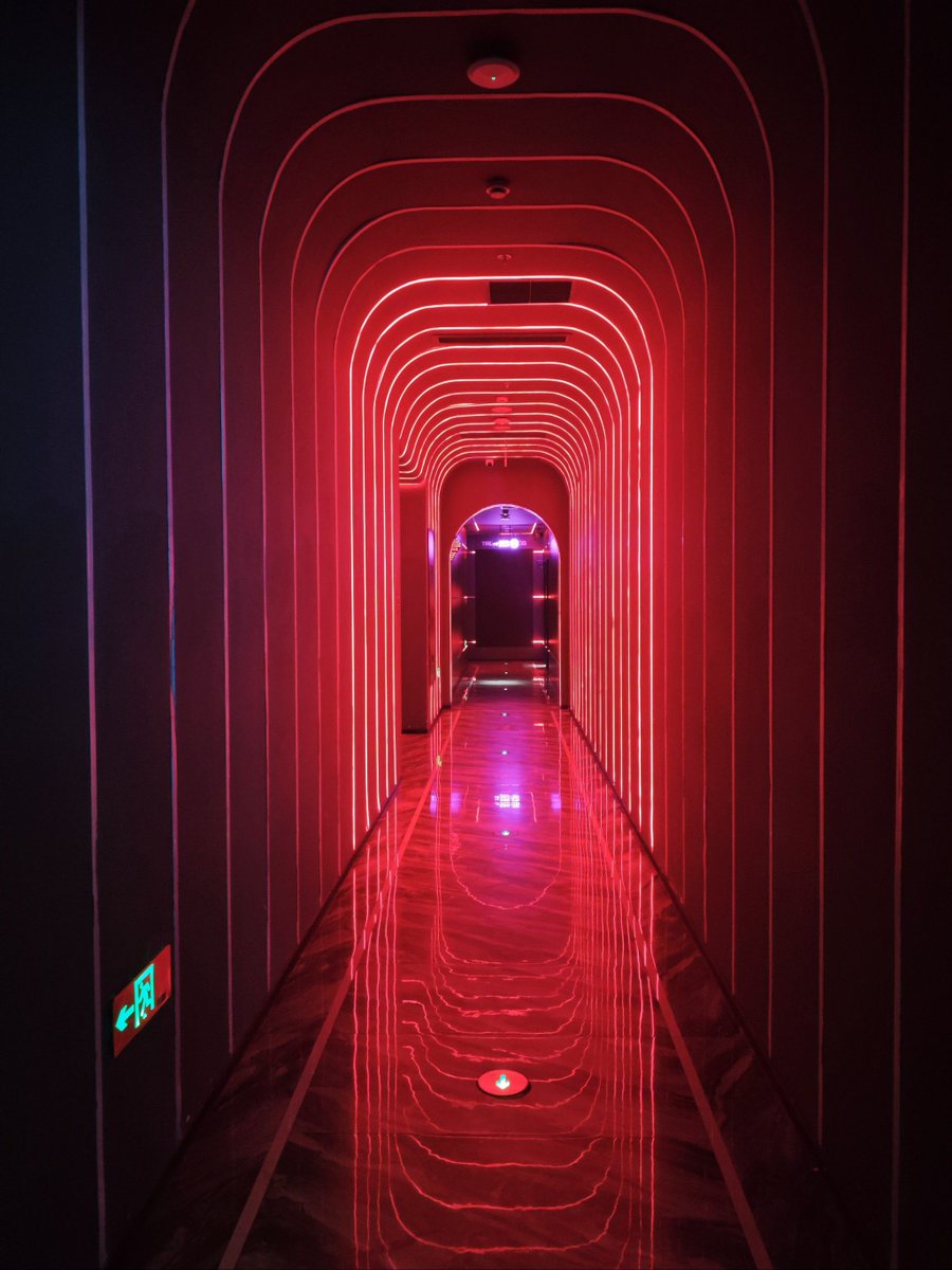 Connor Fest tweet media