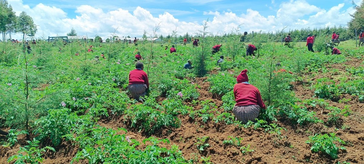 Friends of Mau Watershed (FOMAWA) tweet media