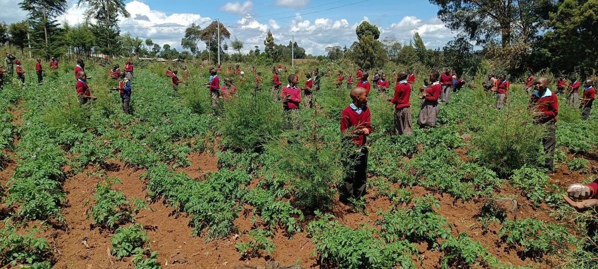 Friends of Mau Watershed (FOMAWA) tweet media