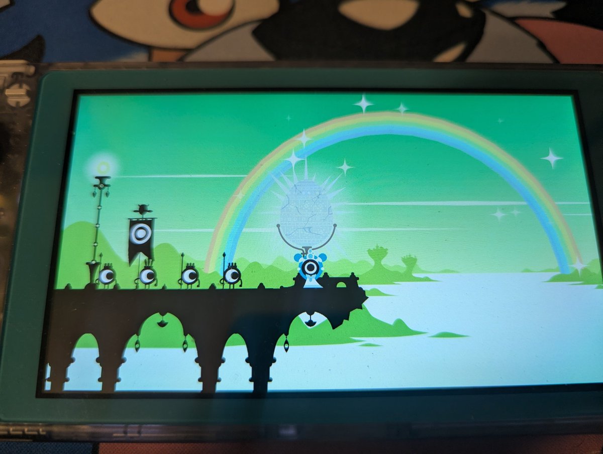 Mapache Pinto tweet media