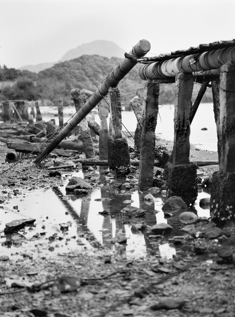 VØNPhoto tweet media