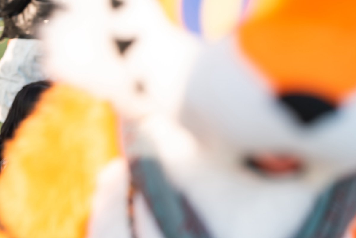 Noel_Goldy's tweet photo. ์ ์์
๐ท@DonDon_Fur
#FursuitEveryday #Ryoon https://t.co/qjnqtm5ExZ