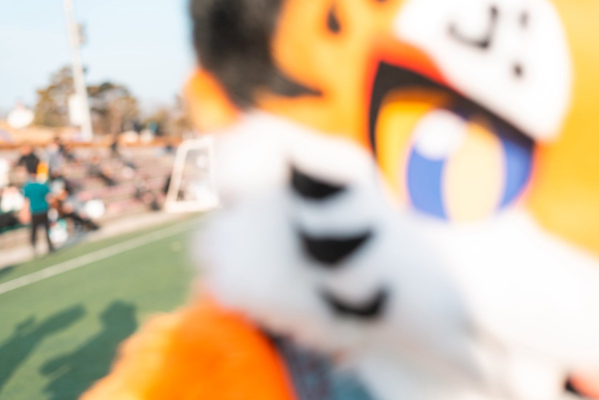 Noel_Goldy's tweet photo. ์ ์์
๐ท@DonDon_Fur
#FursuitEveryday #Ryoon https://t.co/qjnqtm5ExZ